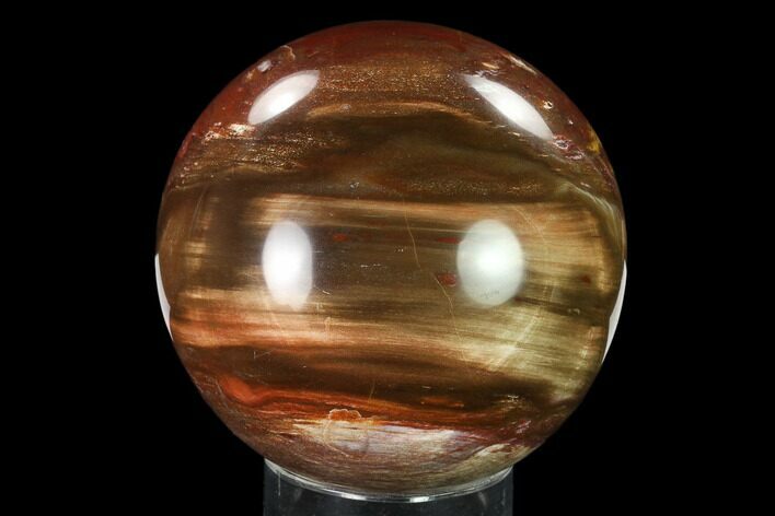 Colorful Petrified Wood Sphere - Madagascar #135654